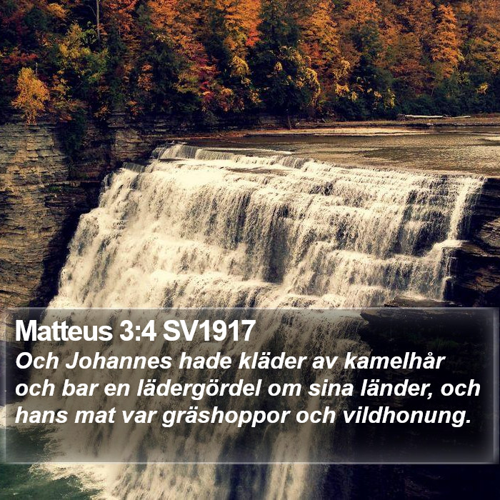 Matteus 3:4 SV1917 Bible Study