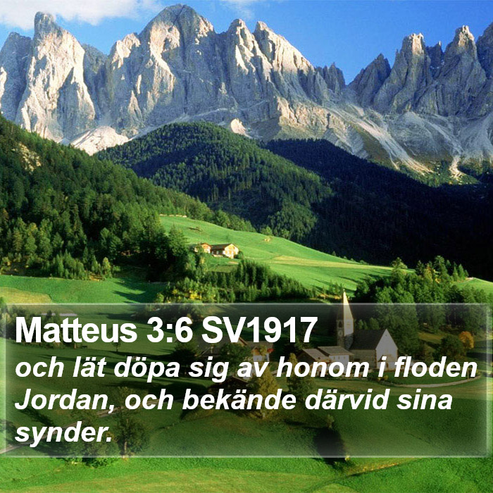 Matteus 3:6 SV1917 Bible Study