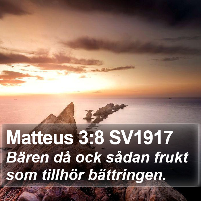 Matteus 3:8 SV1917 Bible Study