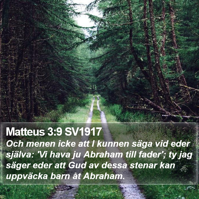 Matteus 3:9 SV1917 Bible Study