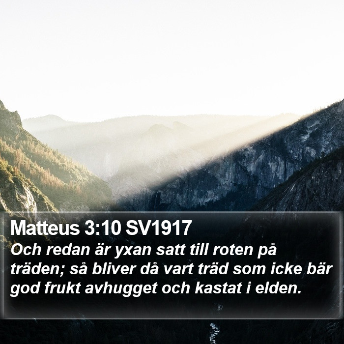 Matteus 3:10 SV1917 Bible Study