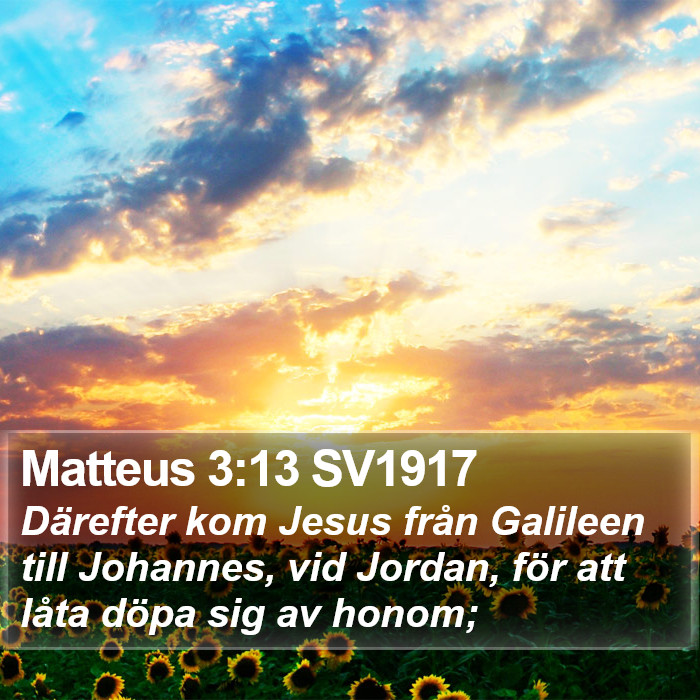 Matteus 3:13 SV1917 Bible Study