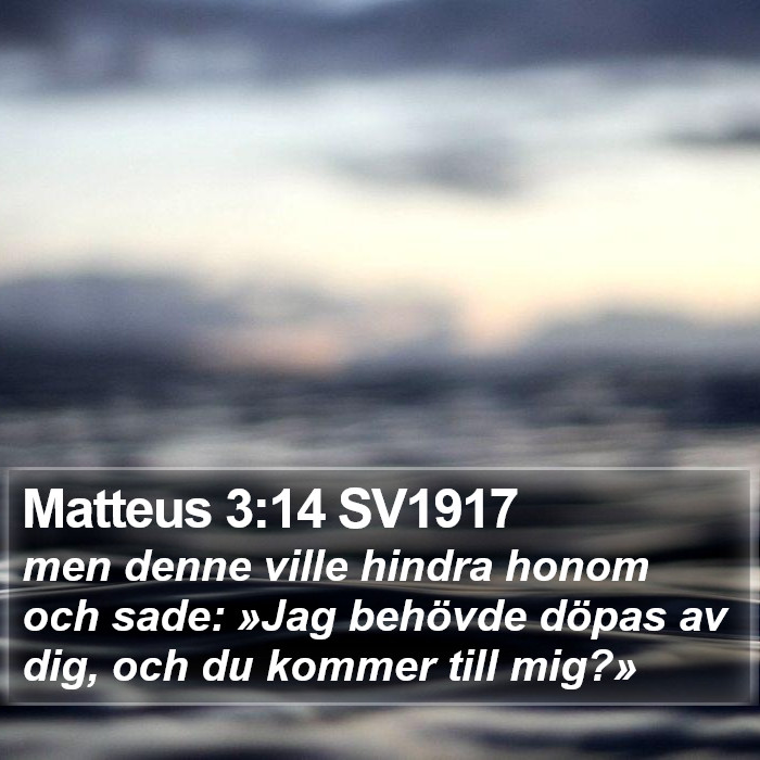 Matteus 3:14 SV1917 Bible Study