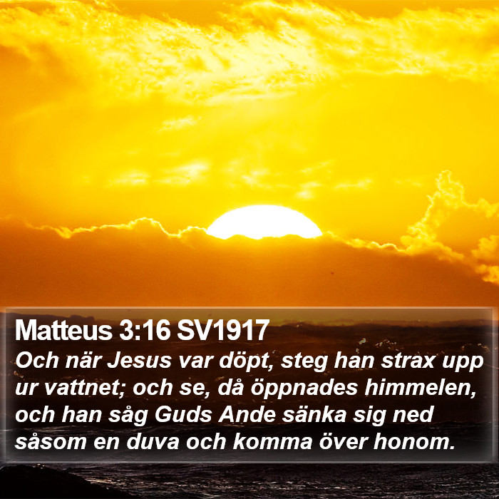 Matteus 3:16 SV1917 Bible Study