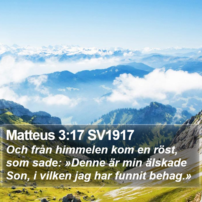 Matteus 3:17 SV1917 Bible Study