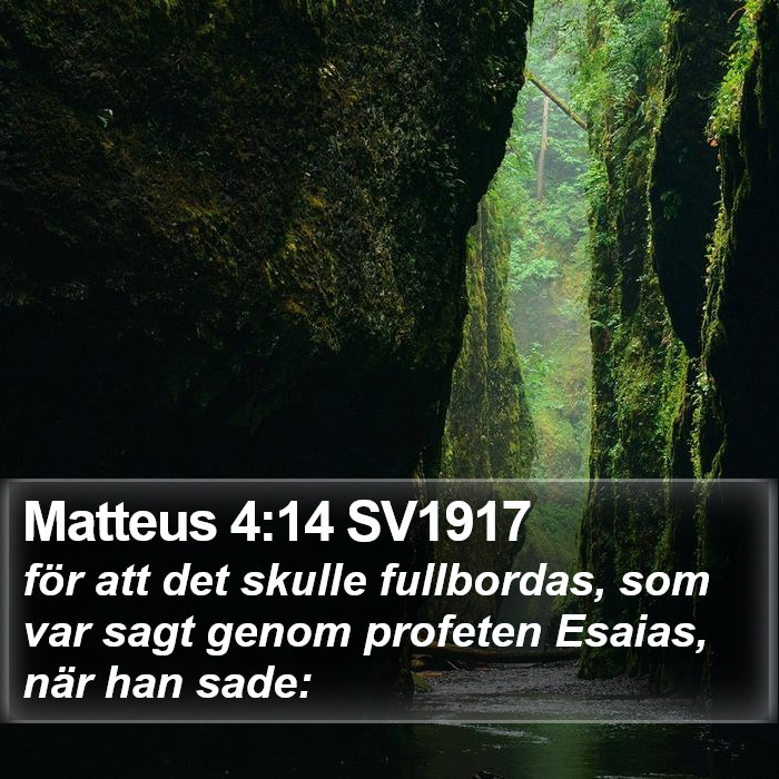 Matteus 4:14 SV1917 Bible Study