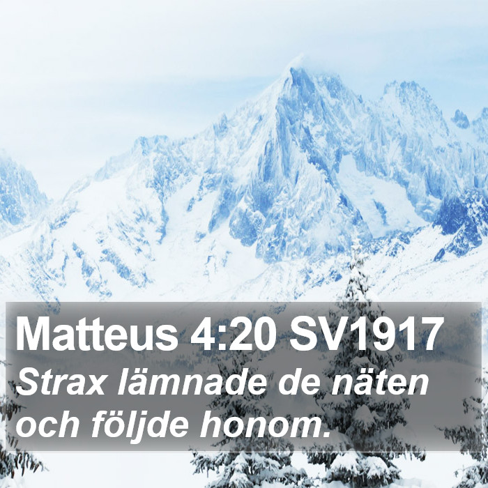 Matteus 4:20 SV1917 Bible Study