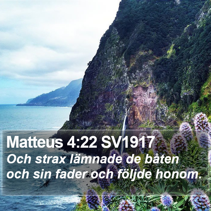 Matteus 4:22 SV1917 Bible Study