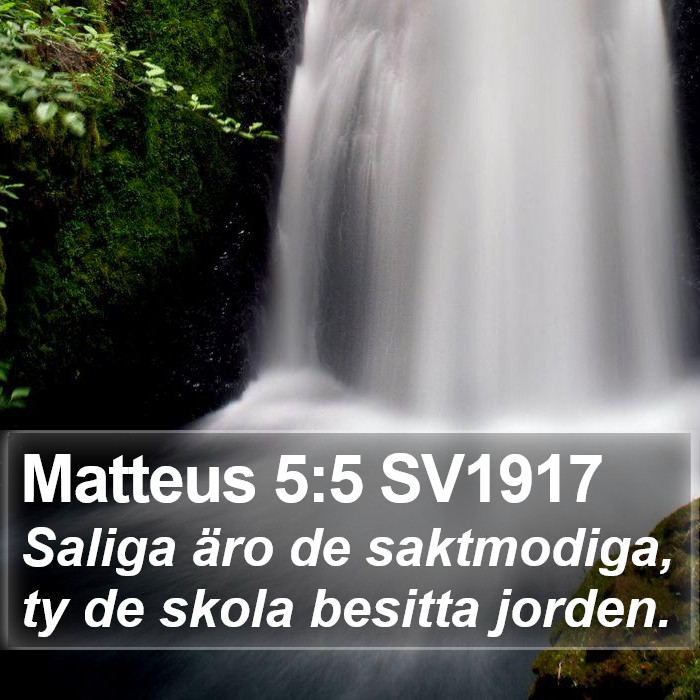 Matteus 5:5 SV1917 Bible Study