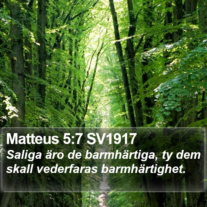 Matteus 5:7 SV1917 Bible Study