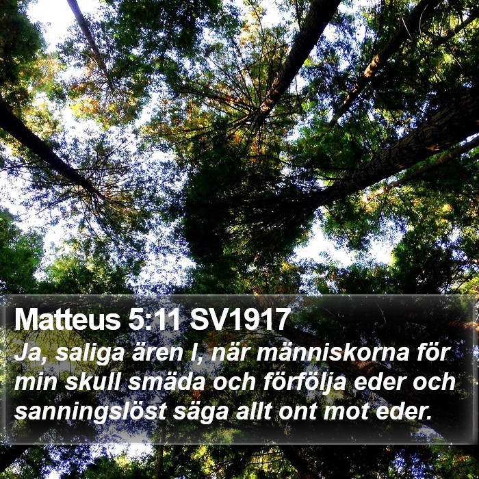 Matteus 5:11 SV1917 Bible Study