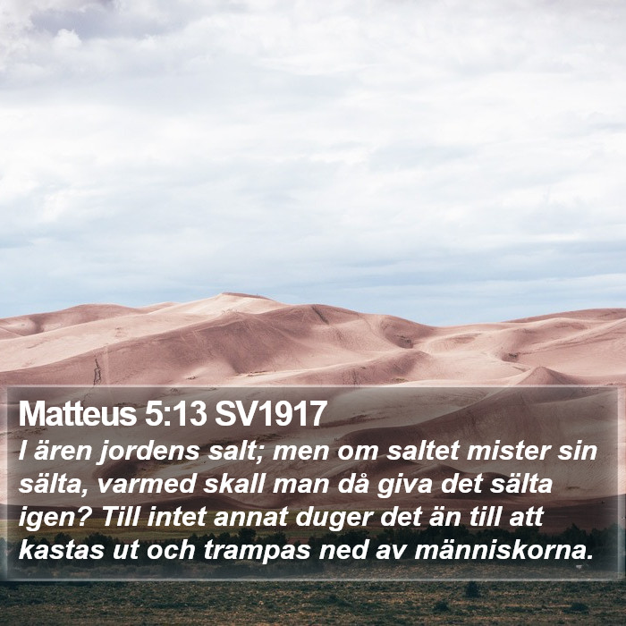 Matteus 5:13 SV1917 Bible Study