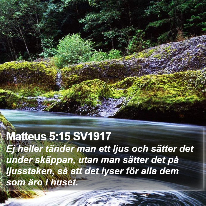 Matteus 5:15 SV1917 Bible Study