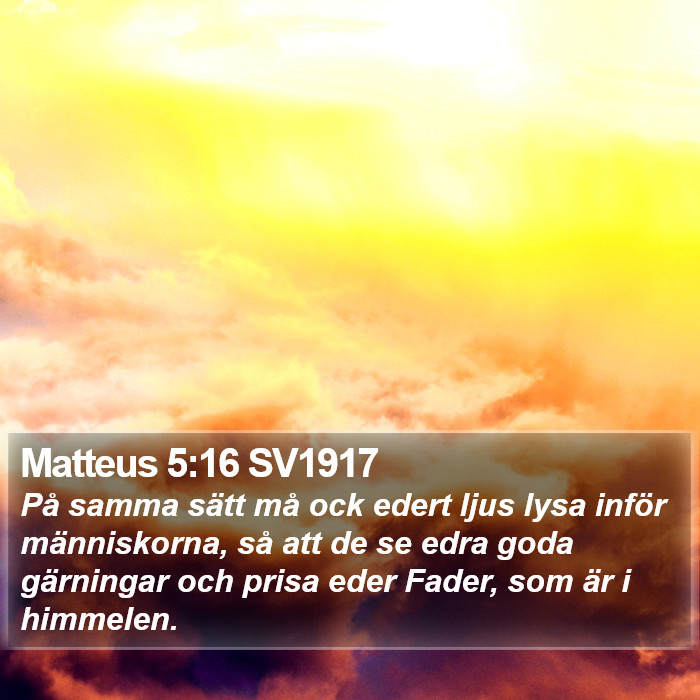 Matteus 5:16 SV1917 Bible Study