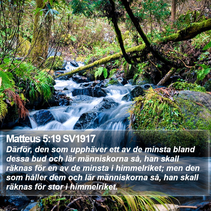 Matteus 5:19 SV1917 Bible Study