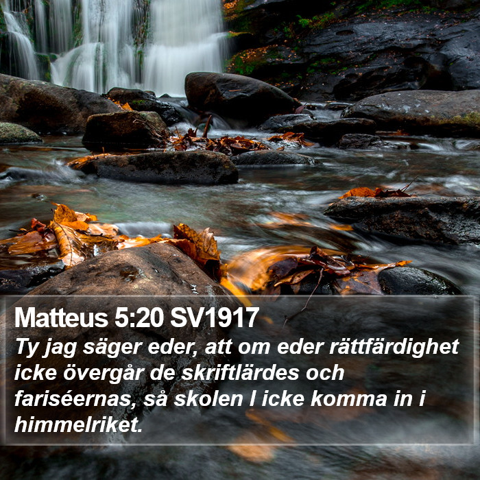 Matteus 5:20 SV1917 Bible Study
