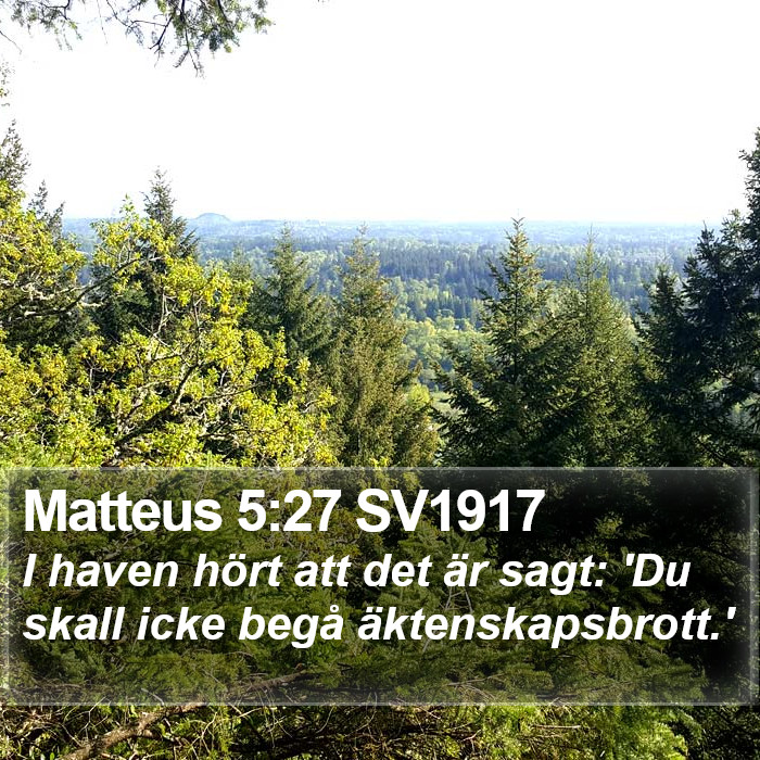 Matteus 5:27 SV1917 Bible Study