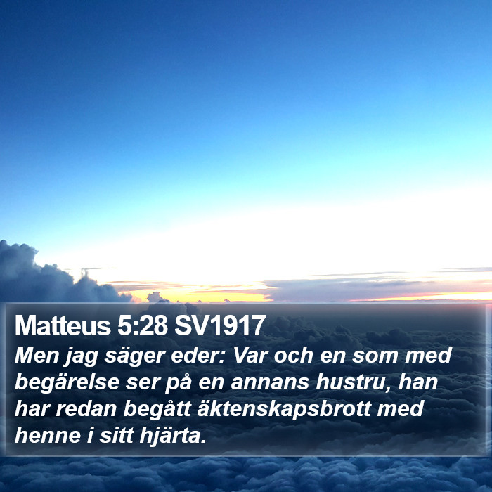 Matteus 5:28 SV1917 Bible Study