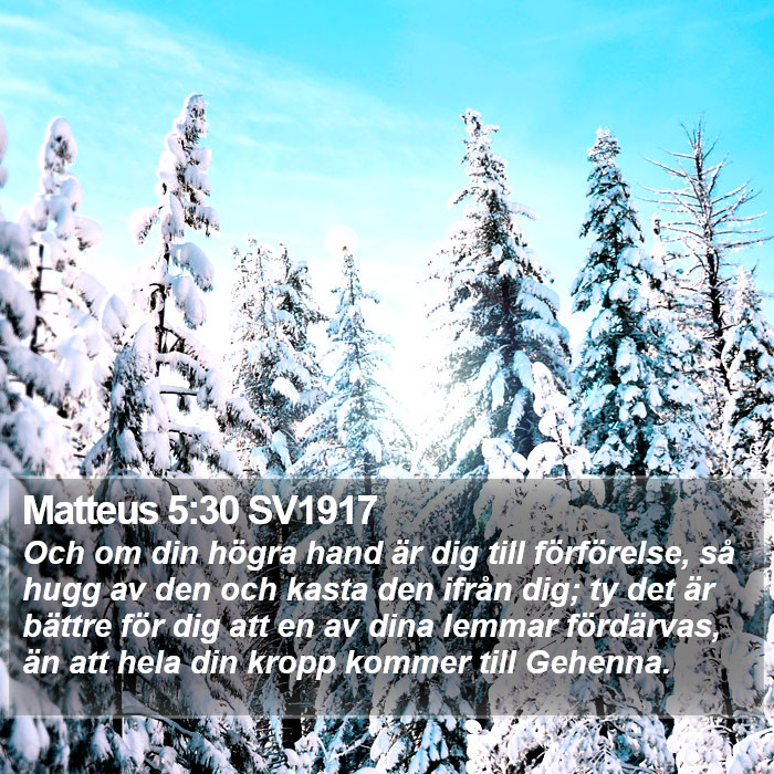 Matteus 5:30 SV1917 Bible Study