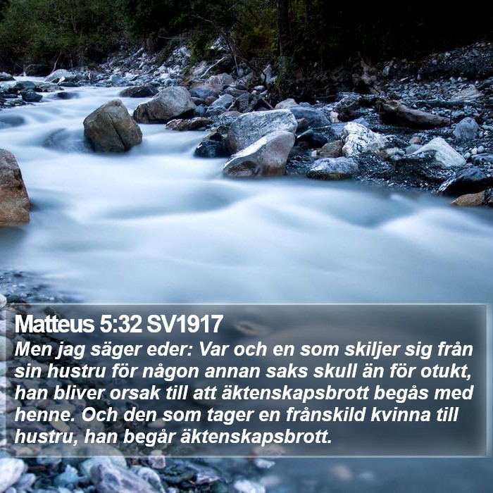 Matteus 5:32 SV1917 Bible Study