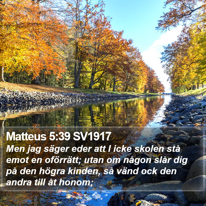 Matteus 5:39 SV1917 Bible Study