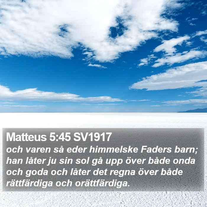 Matteus 5:45 SV1917 Bible Study