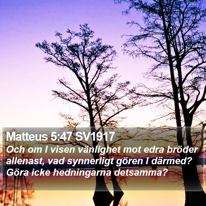 Matteus 5:47 SV1917 Bible Study
