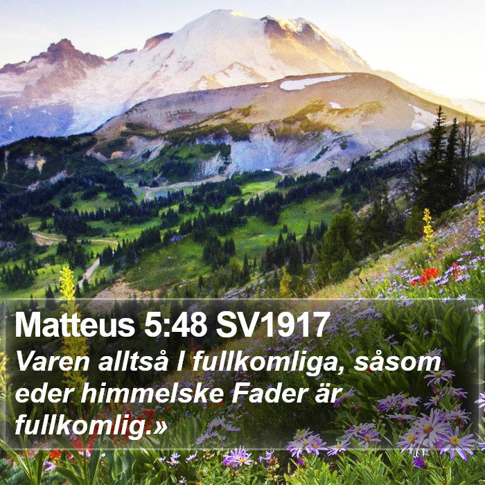 Matteus 5:48 SV1917 Bible Study