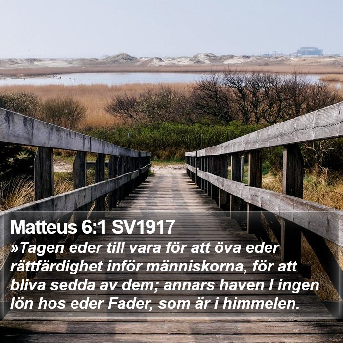 Matteus 6:1 SV1917 Bible Study