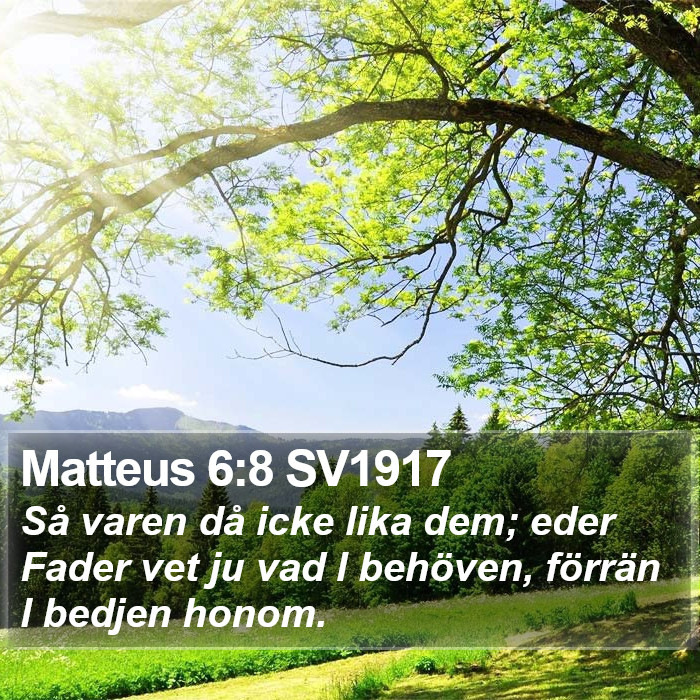 Matteus 6:8 SV1917 Bible Study