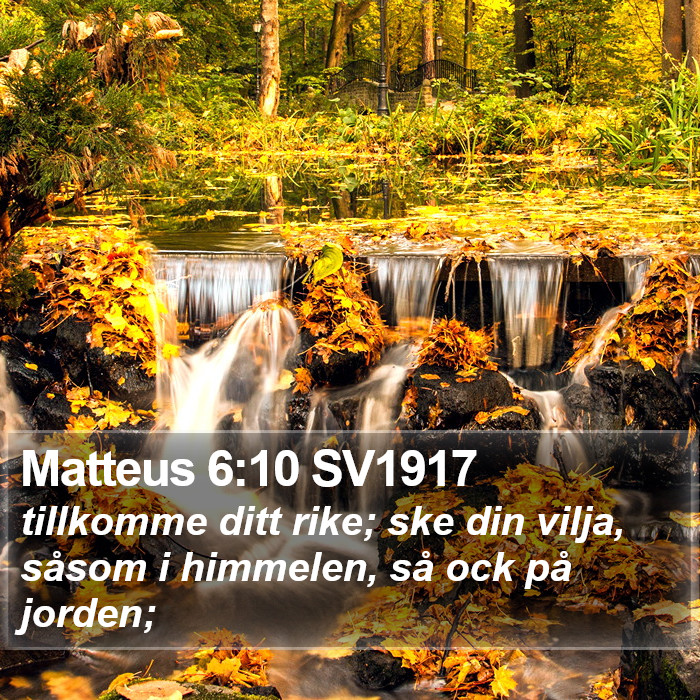 Matteus 6:10 SV1917 Bible Study