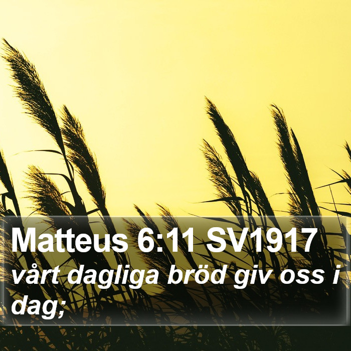 Matteus 6:11 SV1917 Bible Study