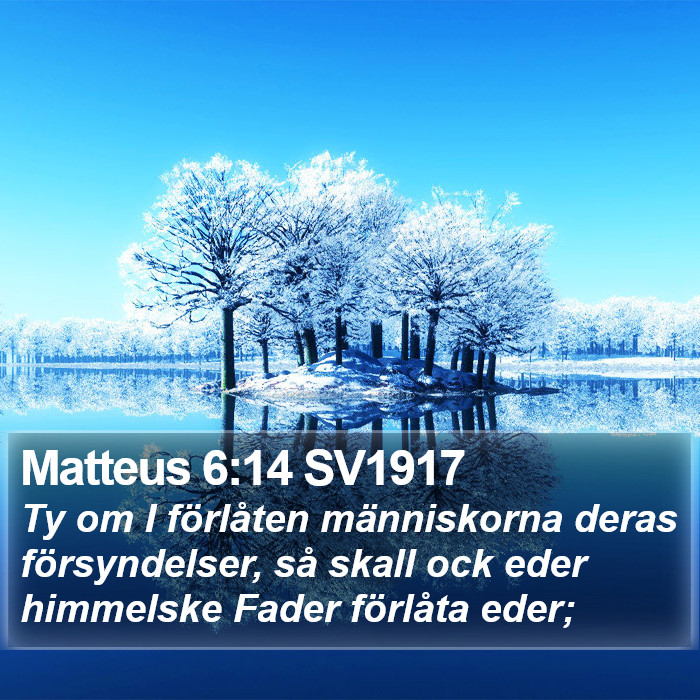 Matteus 6:14 SV1917 Bible Study