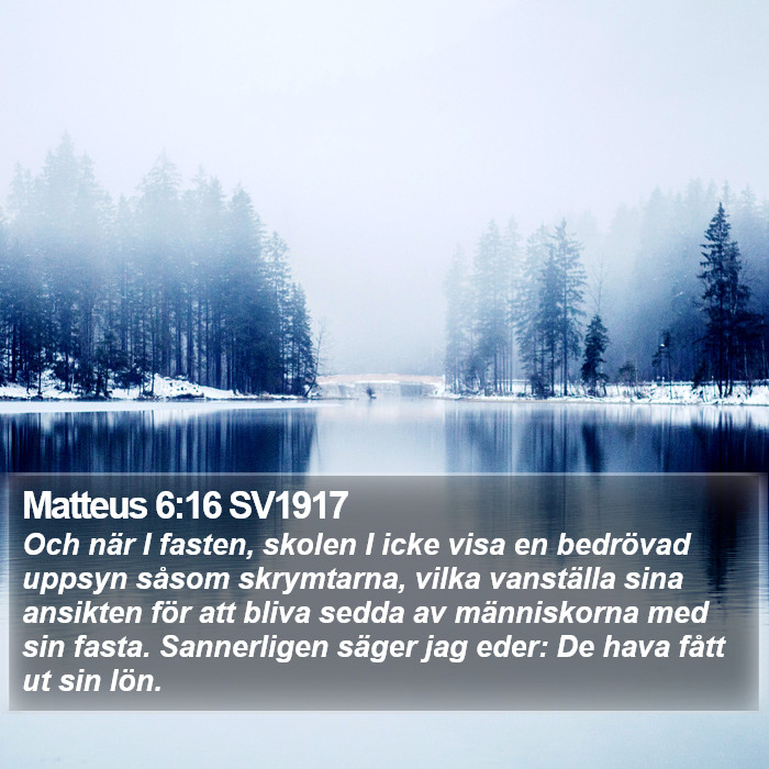 Matteus 6:16 SV1917 Bible Study