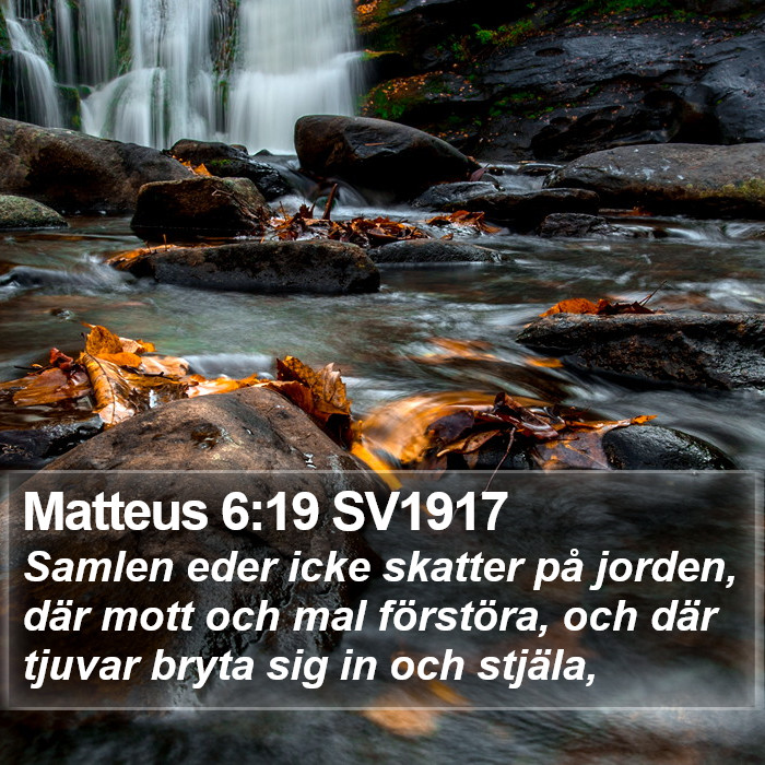 Matteus 6:19 SV1917 Bible Study