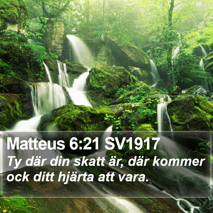 Matteus 6:21 SV1917 Bible Study