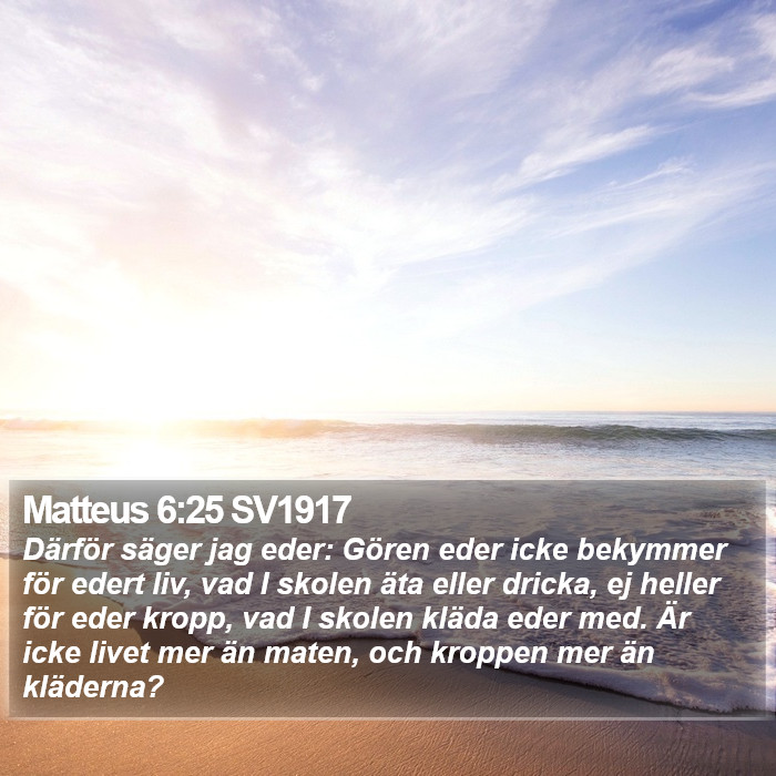 Matteus 6:25 SV1917 Bible Study