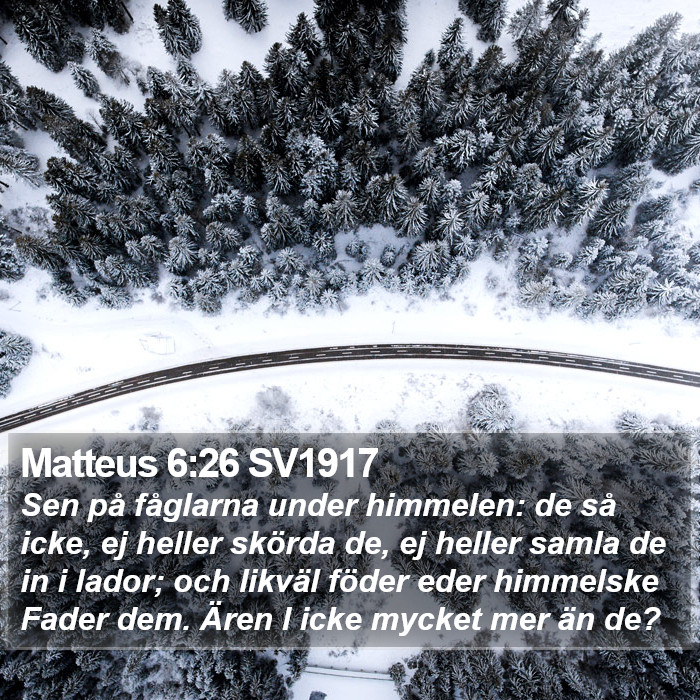 Matteus 6:26 SV1917 Bible Study