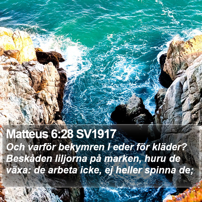 Matteus 6:28 SV1917 Bible Study