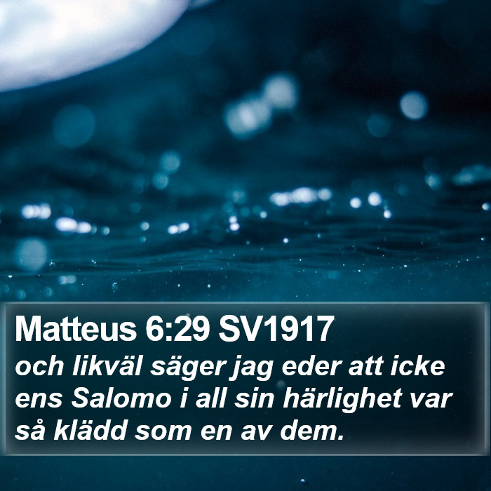 Matteus 6:29 SV1917 Bible Study