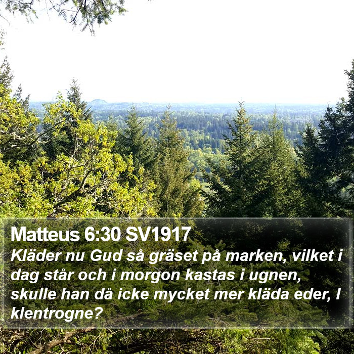 Matteus 6:30 SV1917 Bible Study