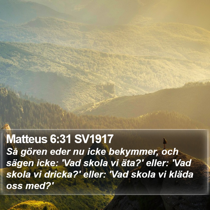 Matteus 6:31 SV1917 Bible Study