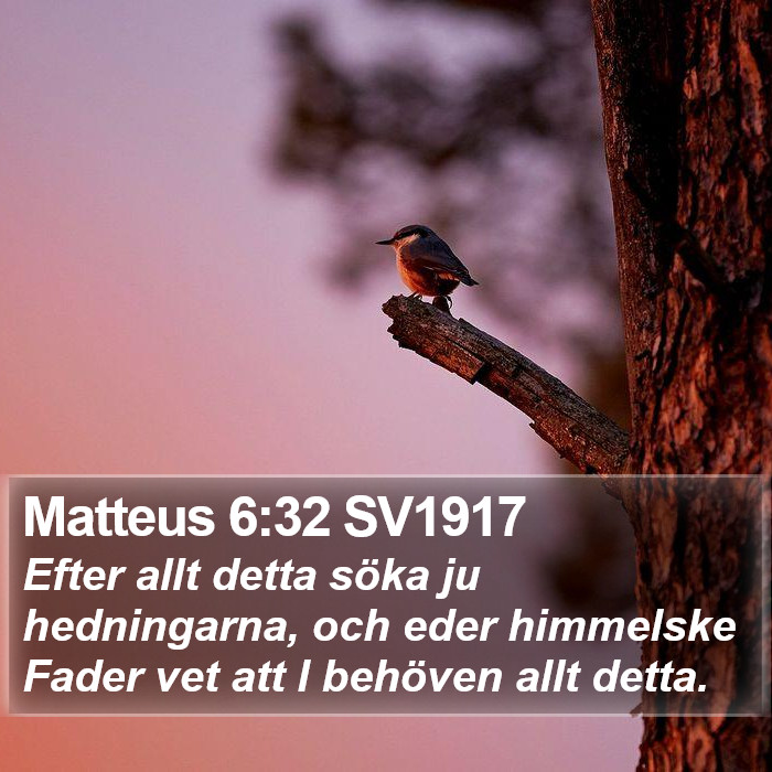 Matteus 6:32 SV1917 Bible Study