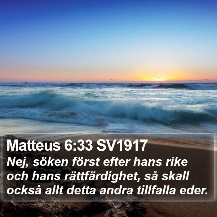 Matteus 6:33 SV1917 Bible Study