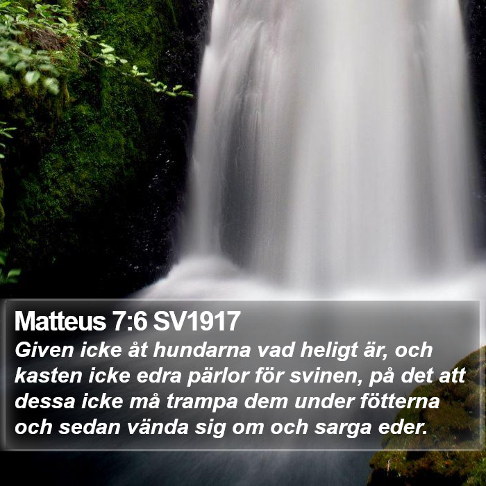 Matteus 7:6 SV1917 Bible Study