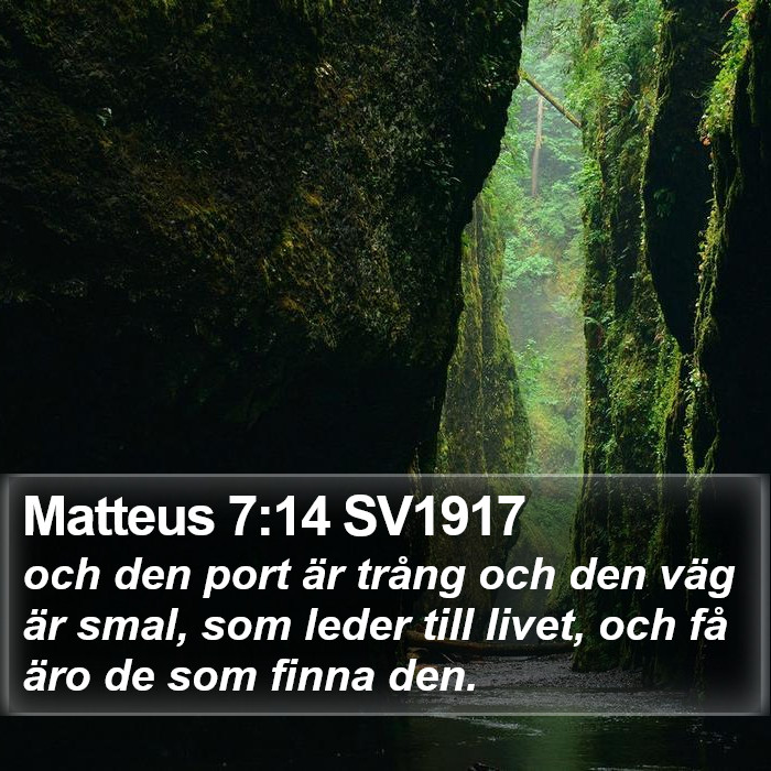 Matteus 7:14 SV1917 Bible Study
