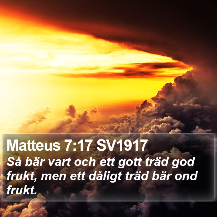 Matteus 7:17 SV1917 Bible Study