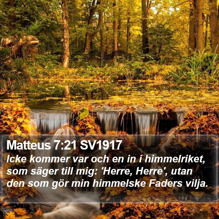 Matteus 7:21 SV1917 Bible Study