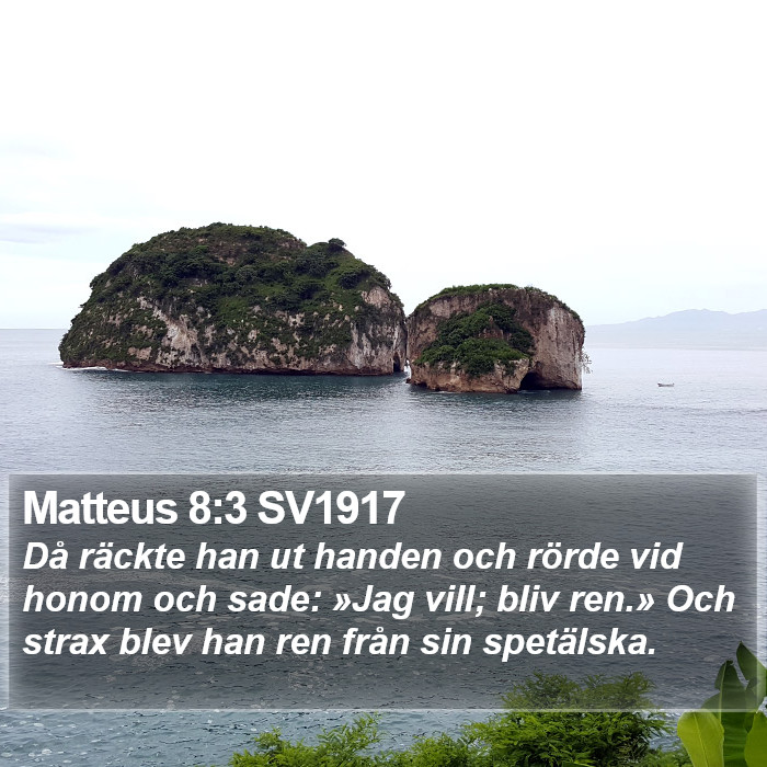 Matteus 8:3 SV1917 Bible Study