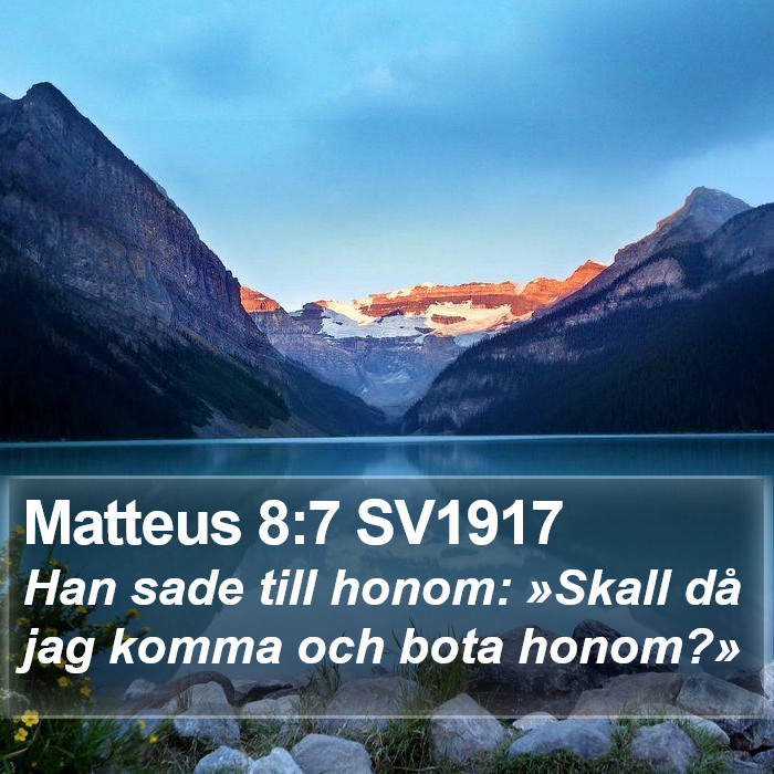 Matteus 8:7 SV1917 Bible Study